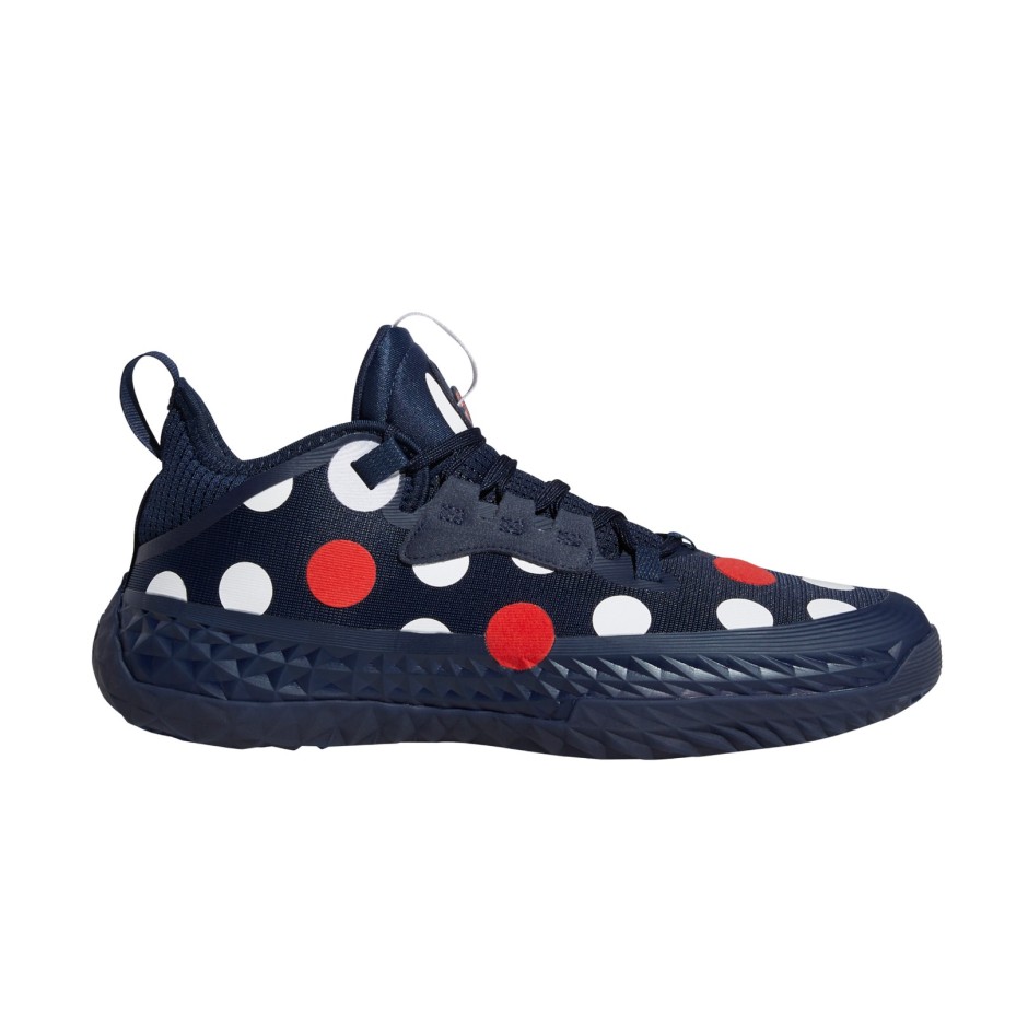 adidas Performance HARDEN VOL.5 FUTURENATURAL GW2955 Πολύχρωμο