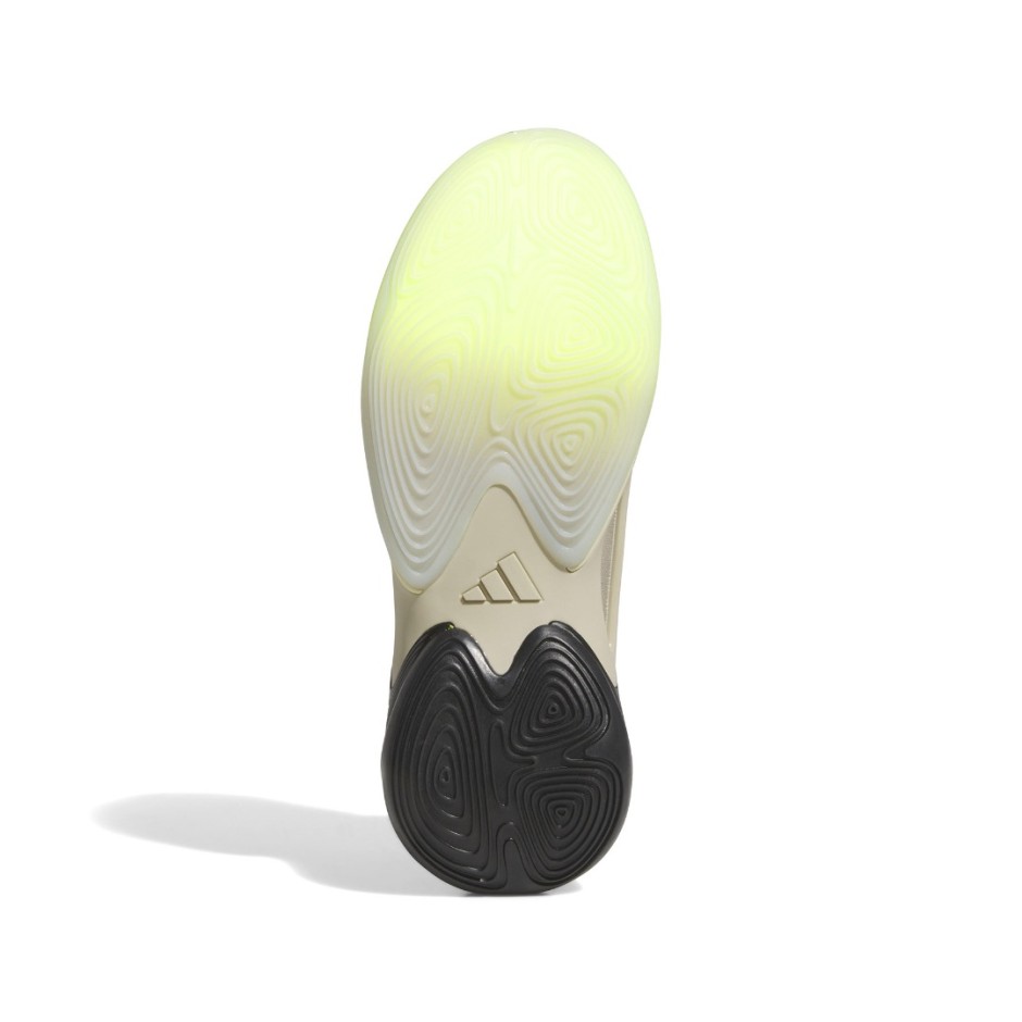 Unisex Παπούτσια Μπάσκετ Πολύχρωμα - adidas Performance Exhibit Select 2.0