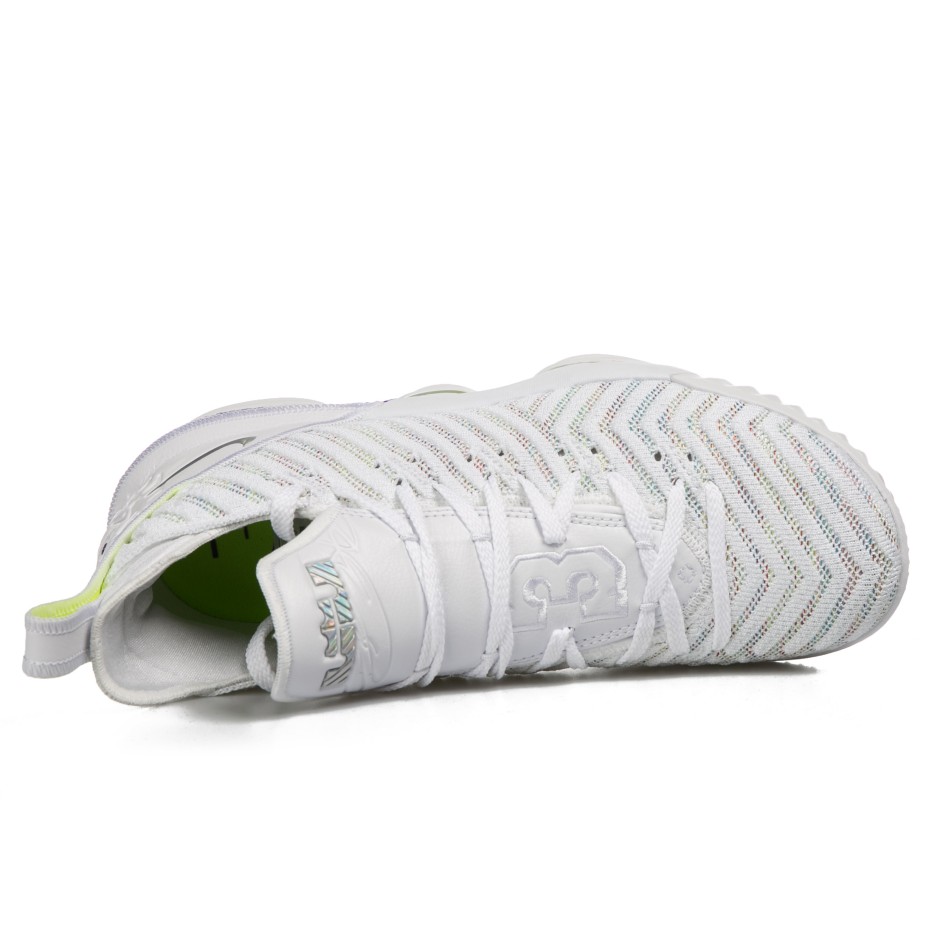 NIKE LEBRON XVI AO2588-102 White