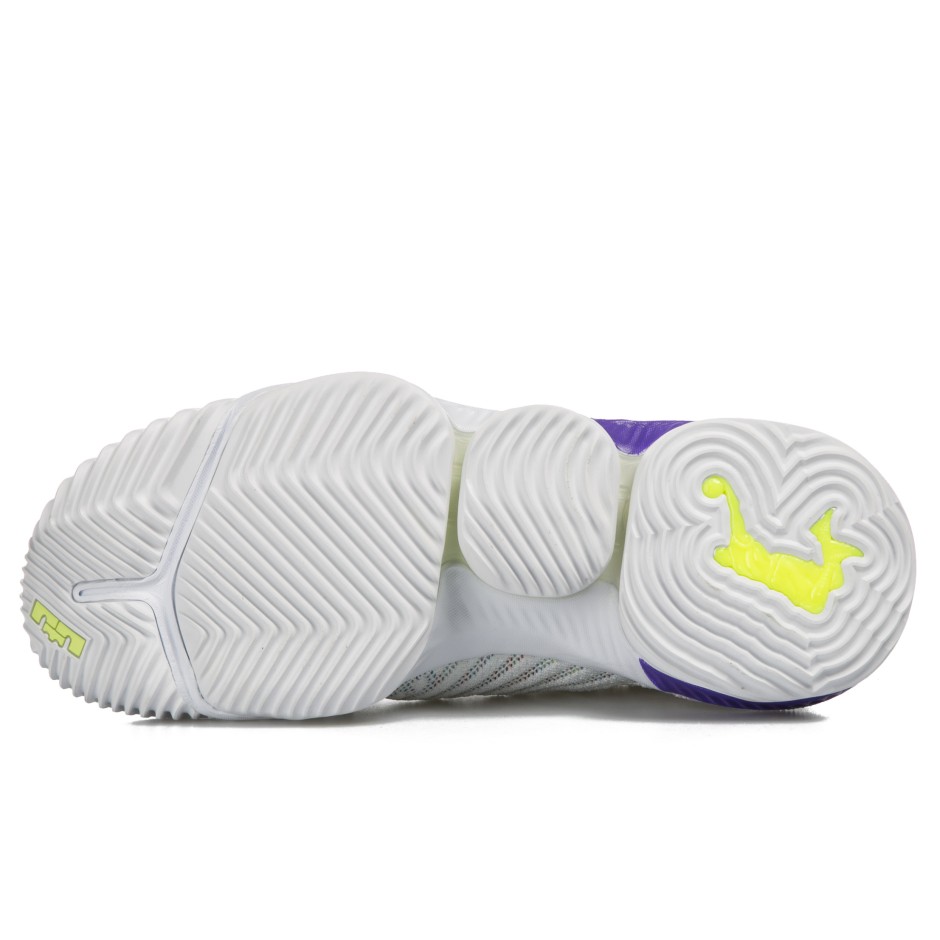 NIKE LEBRON XVI AO2588-102 White