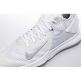 NIKE LEBRON WITNESS IV TEAM CV4004-100 Λευκό