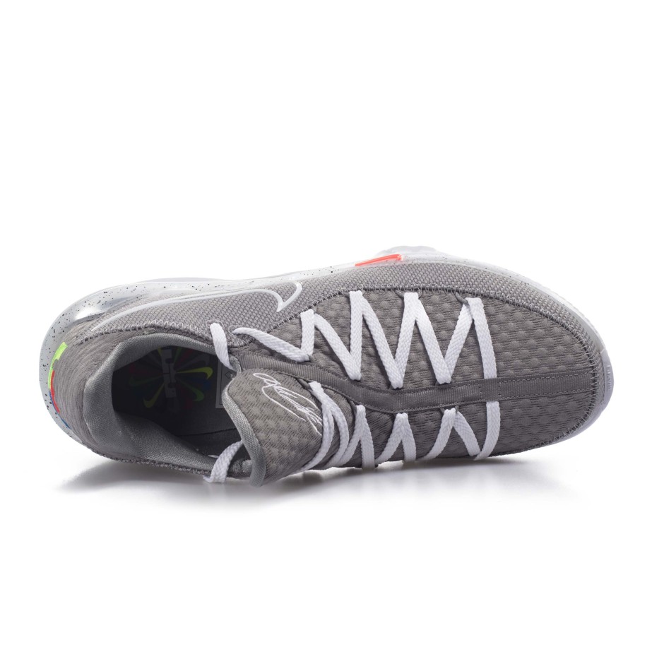 NIKE LEBRON XVII LOW CD5007-004 Grey