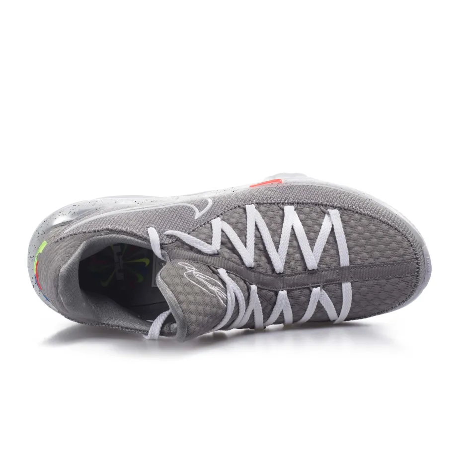 NIKE LEBRON XVII LOW CD5007-004 Grey
