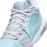 NIKE LEBRON WITNESS VIII FB2239-401 Blue