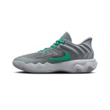 Ανδρικά Παπούτσια Μπάσκετ Γκρι - Nike Giannis Immortality 4 Εικόνα 0