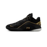 Ανδρικά Παπούτσια Μπάσκετ Λευκά - Nike LeBron XXII 'Mogul' Εικόνα 0