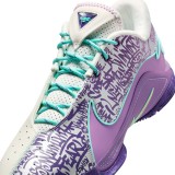 Ανδρικά Παπούτσια Μπάσκετ Πολύχρωμα - Nike LeBron XXII 'Mogul' Εικόνα 5