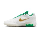 Ανδρικά Παπούτσια Μπάσκετ Λευκά - Nike LeBron Witness 9 Εικόνα 0