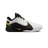 Ανδρικά Παπούτσια Μπάσκετ Λευκά - Nike LeBron XXII 'Mogul' Εικόνα 