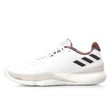 adidas Performance CRAZY LIGHT BOOST 2018 BB7157 White Image 