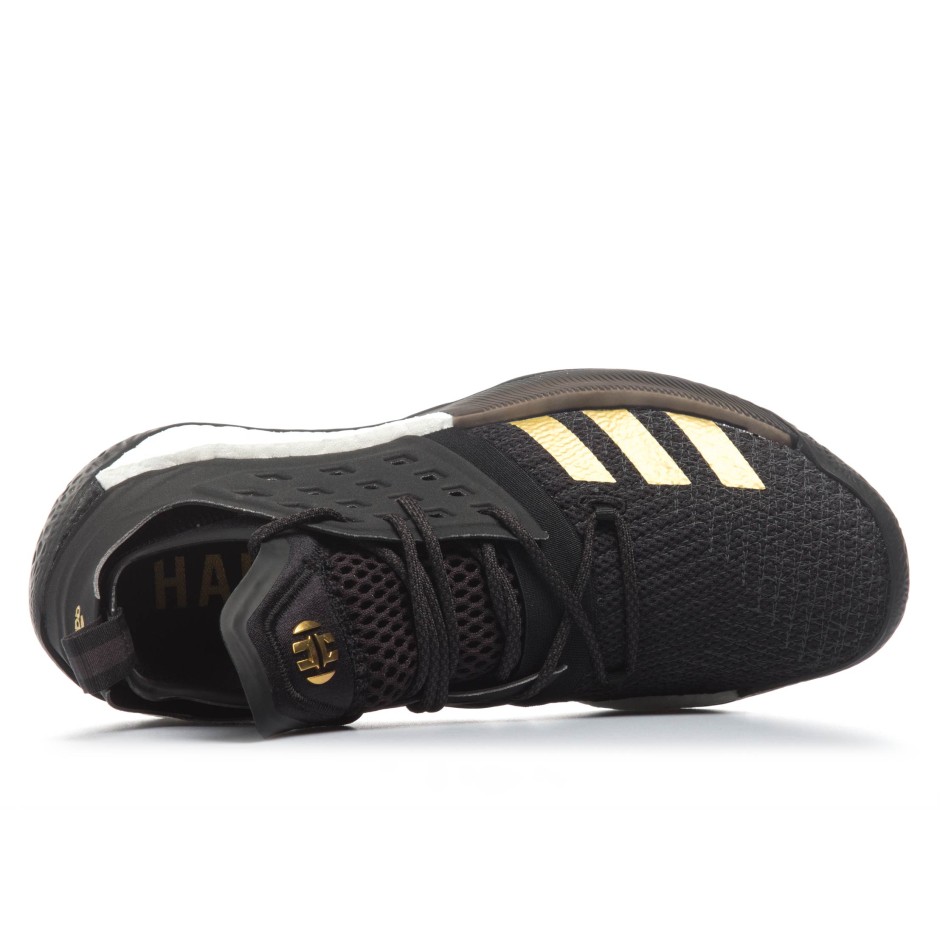 adidas Performance HARDEN VOL.2 AH2215 Black