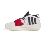 adidas Performance DAME 8 EXTPLY IF1507 Grey Image 0