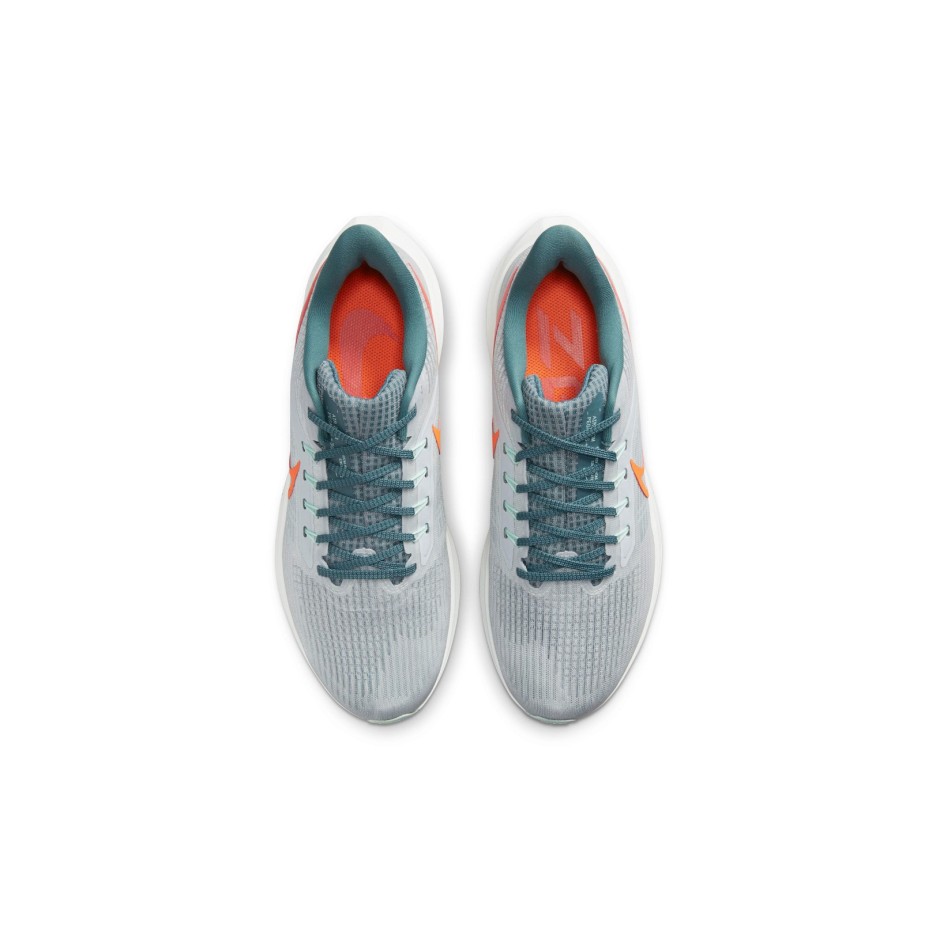 NIKE AIR ZOOM PEGASUS 39 DH4071-003 Grey