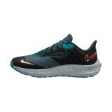 NIKE AIR ZOOM PEGASUS 39 SHIELD DO7625-300 Petrol Image 0