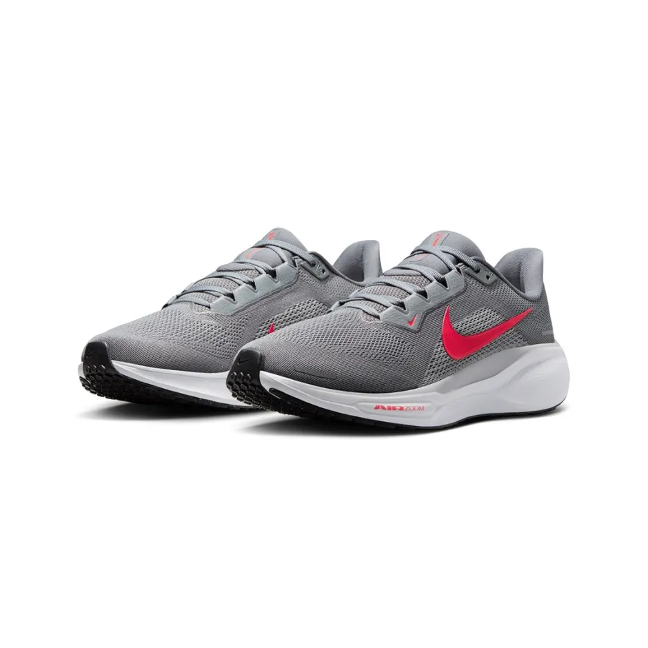 NIKE PEGASUS 41 FD2722-013 Grey