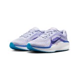 NIKE WINFLO 11 FJ9509-006 Grey Image 1
