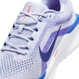 NIKE WINFLO 11 FJ9509-006 Grey Image 4