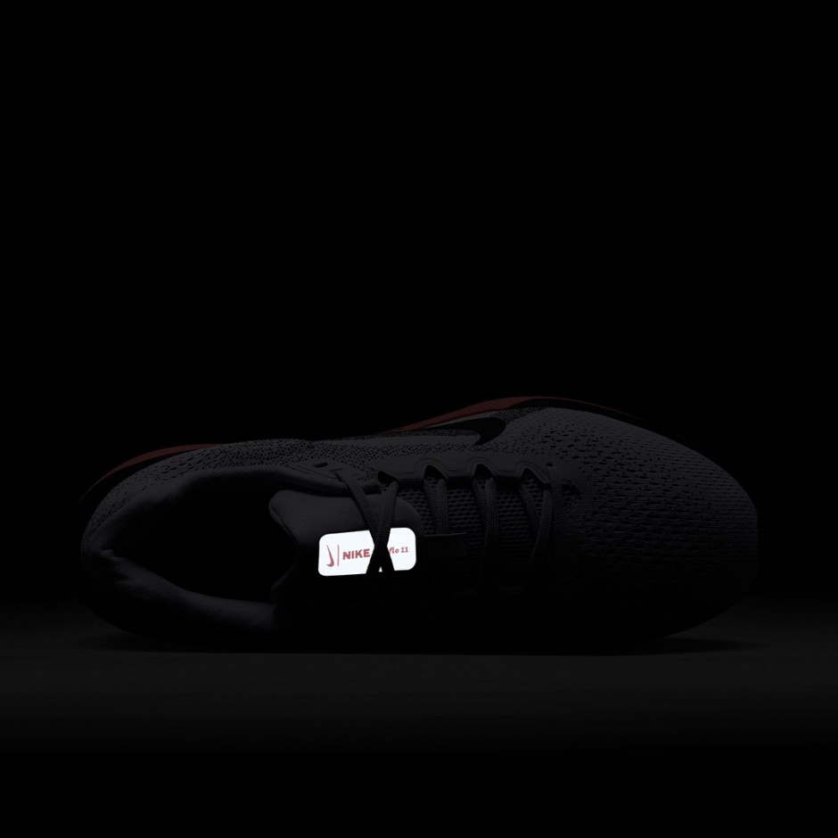 Ανδρικά Παπούτσια για Τρέξιμο Γκρι - Nike Winflo 11