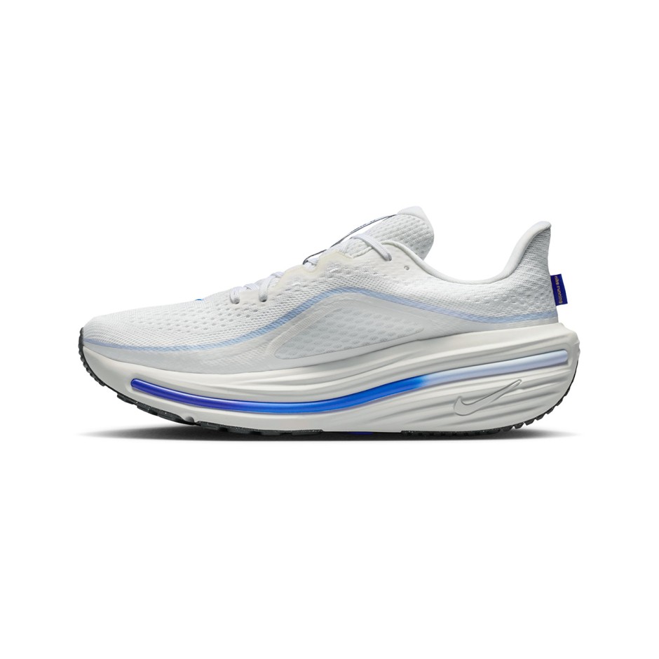 Ανδρικά Παπούτσια για Τρέξιμο Λευκά - Nike Winflo 12