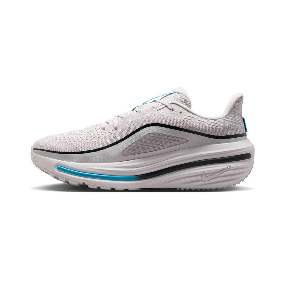 Ανδρικά Παπούτσια για Τρέξιμο Γκρι - Nike Winflo 12