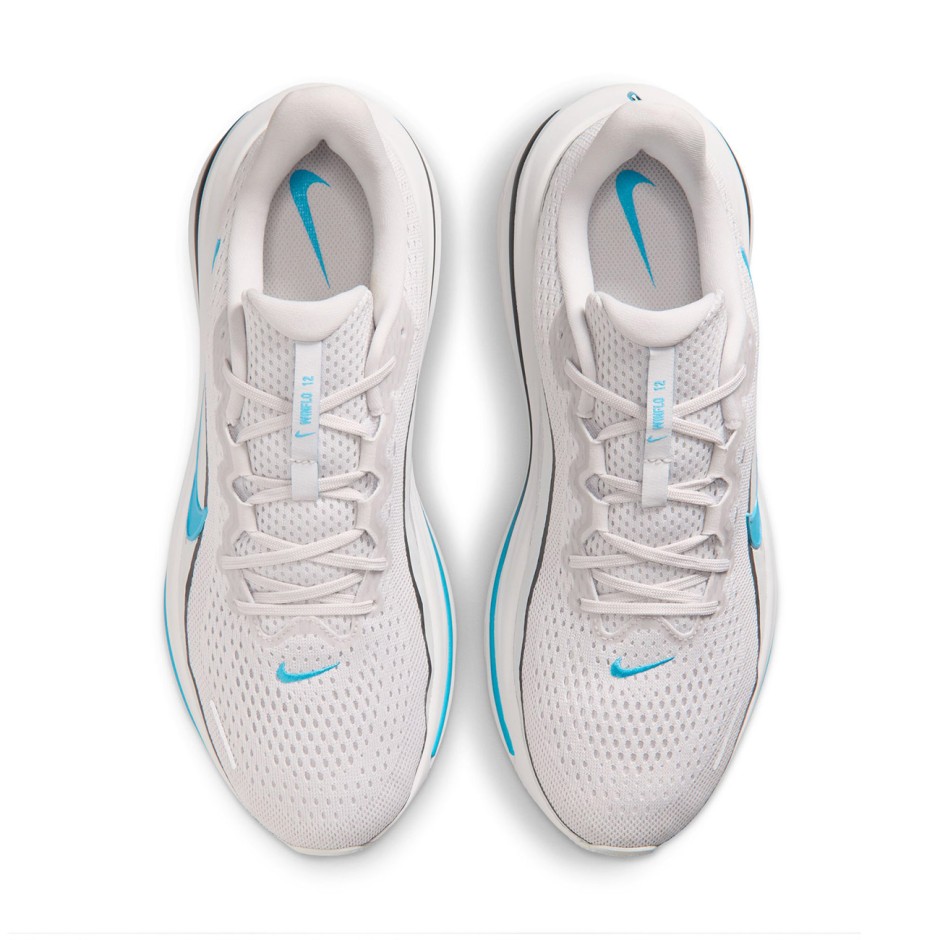 Ανδρικά Παπούτσια για Τρέξιμο Γκρι - Nike Winflo 12