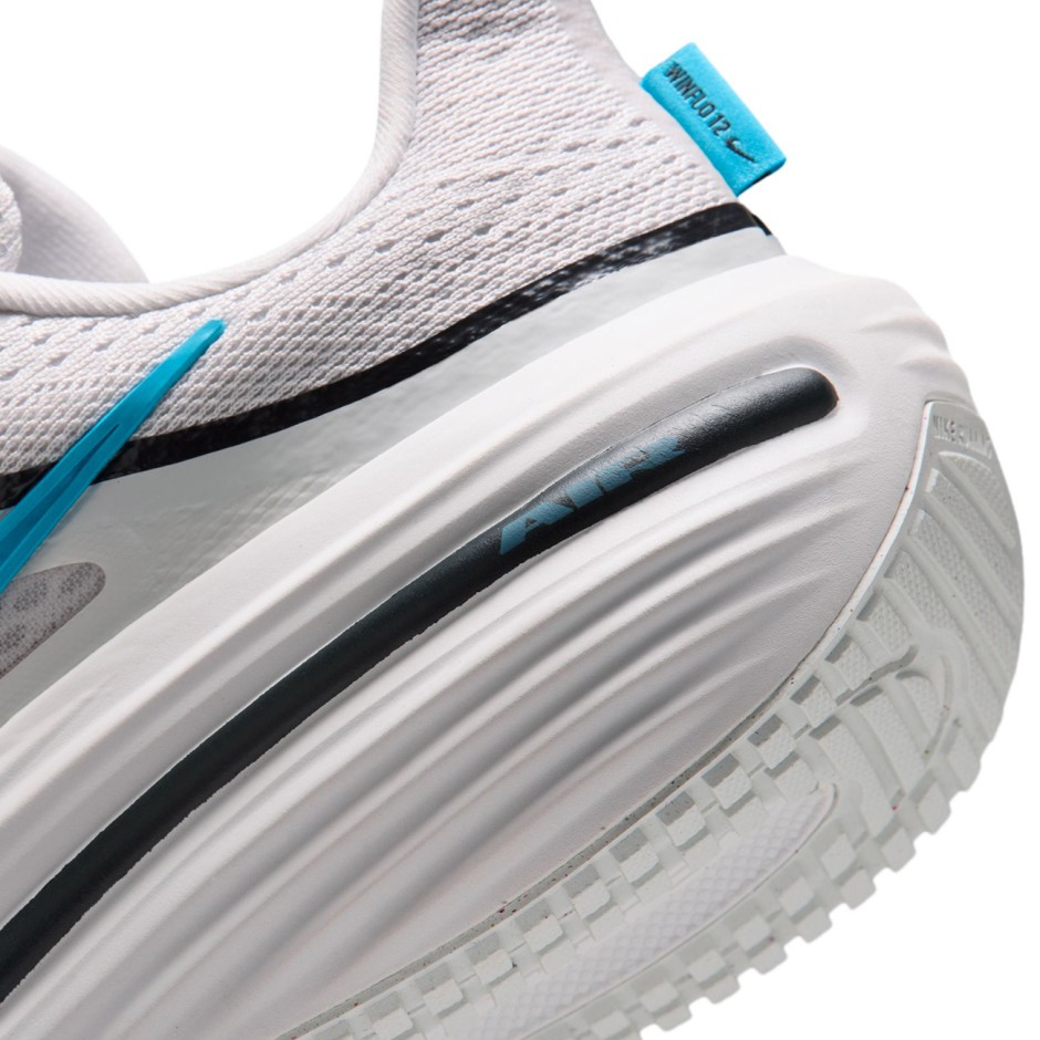 Ανδρικά Παπούτσια για Τρέξιμο Γκρι - Nike Winflo 12