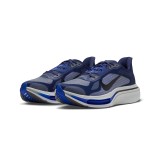 Ανδρικά Παπούτσια για Τρέξιμο Μπλε - Nike Pegasus Plus 2 Εικόνα 1