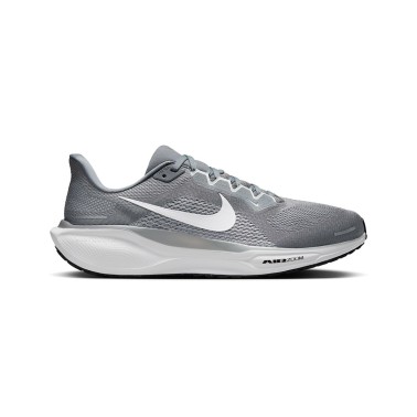 NIKE PEGASUS 41 FD2722-009 Grey
