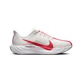 NIKE PEGASUS PLUS FQ7262-003 Grey Image 