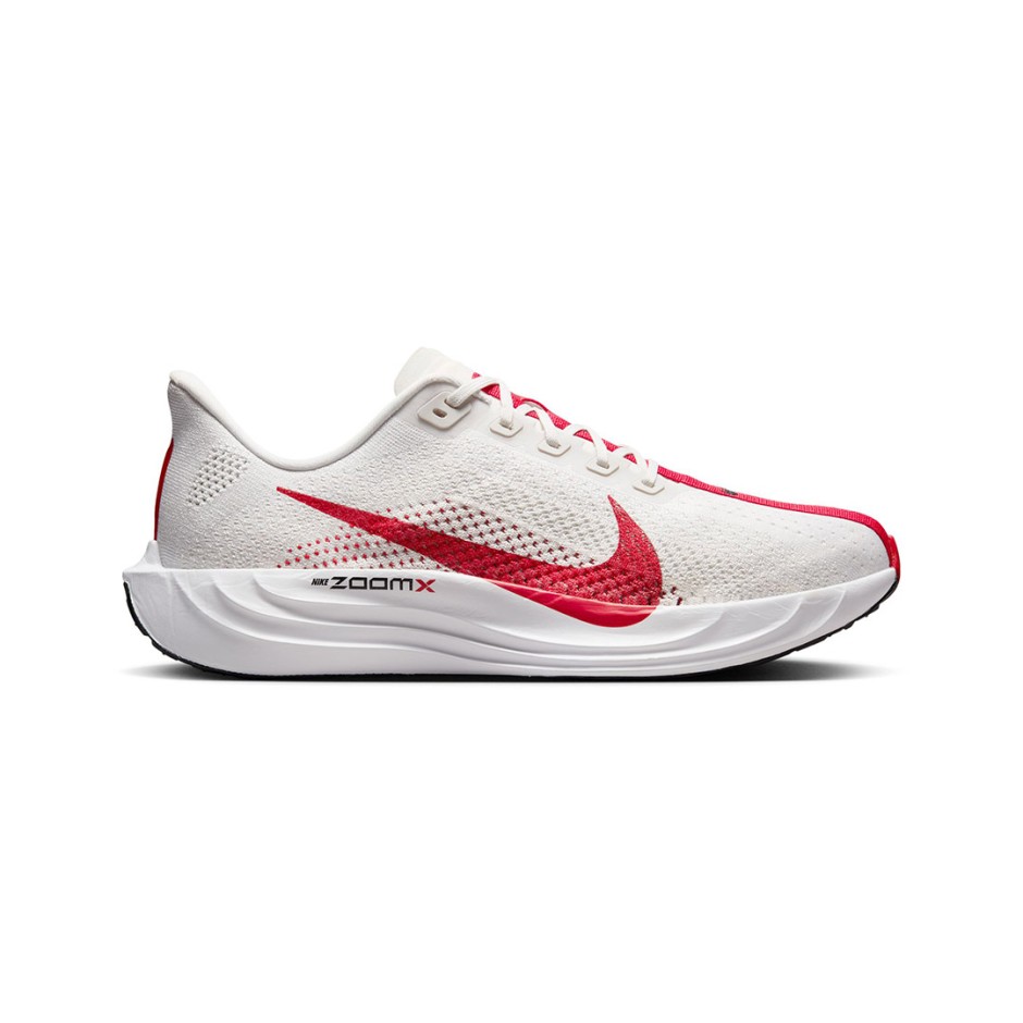 NIKE PEGASUS PLUS FQ7262-003 Grey