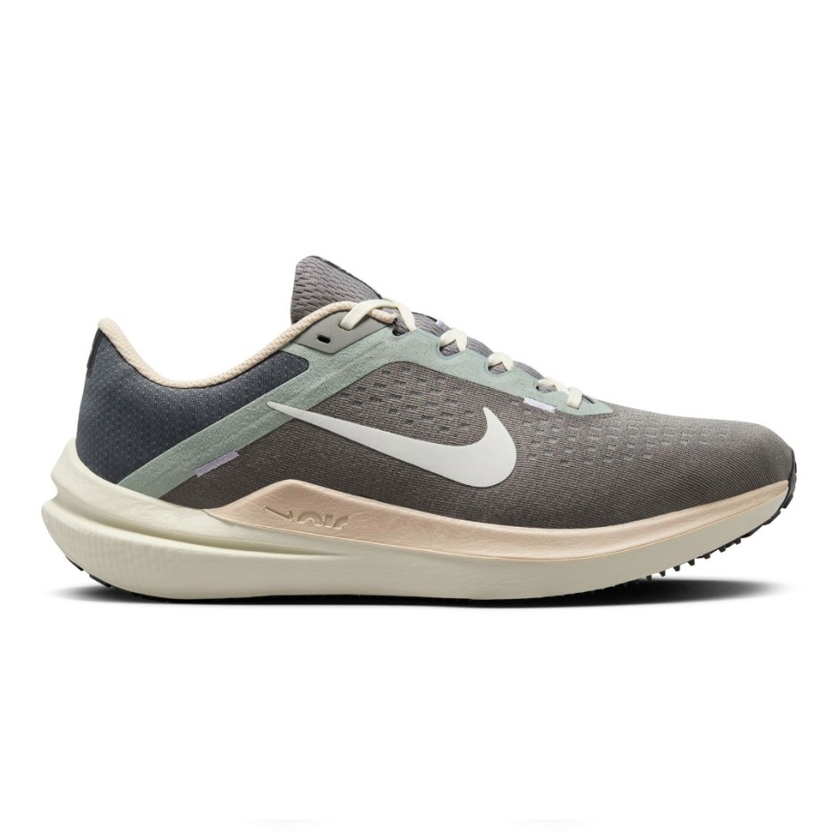 NIKE AIR WINFLO 10 FN7499-029 Grey