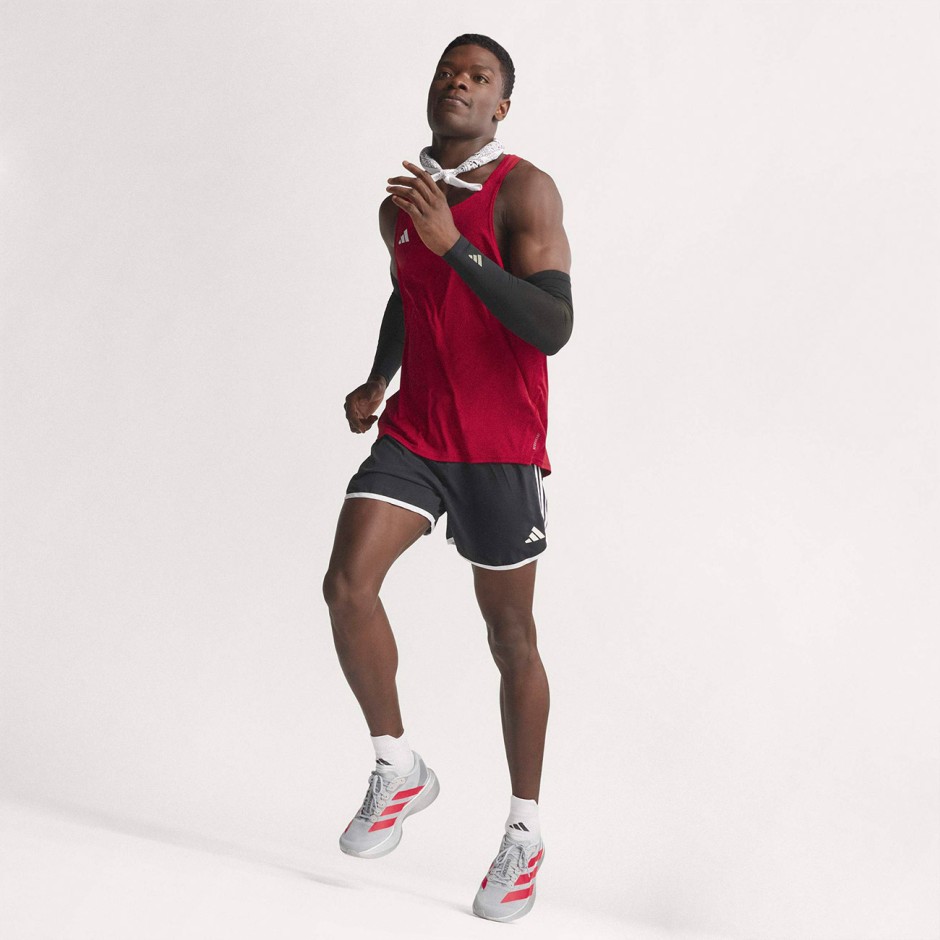 Ανδρικά Παπούτσια για Τρέξιμο Γκρι - adidas Performance Adizero EVO SL