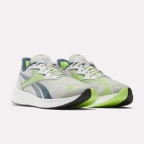 Reebok Sport FLOATRIDE ENERGY SYMMETROS 2.5 100033391 Grey Image 0