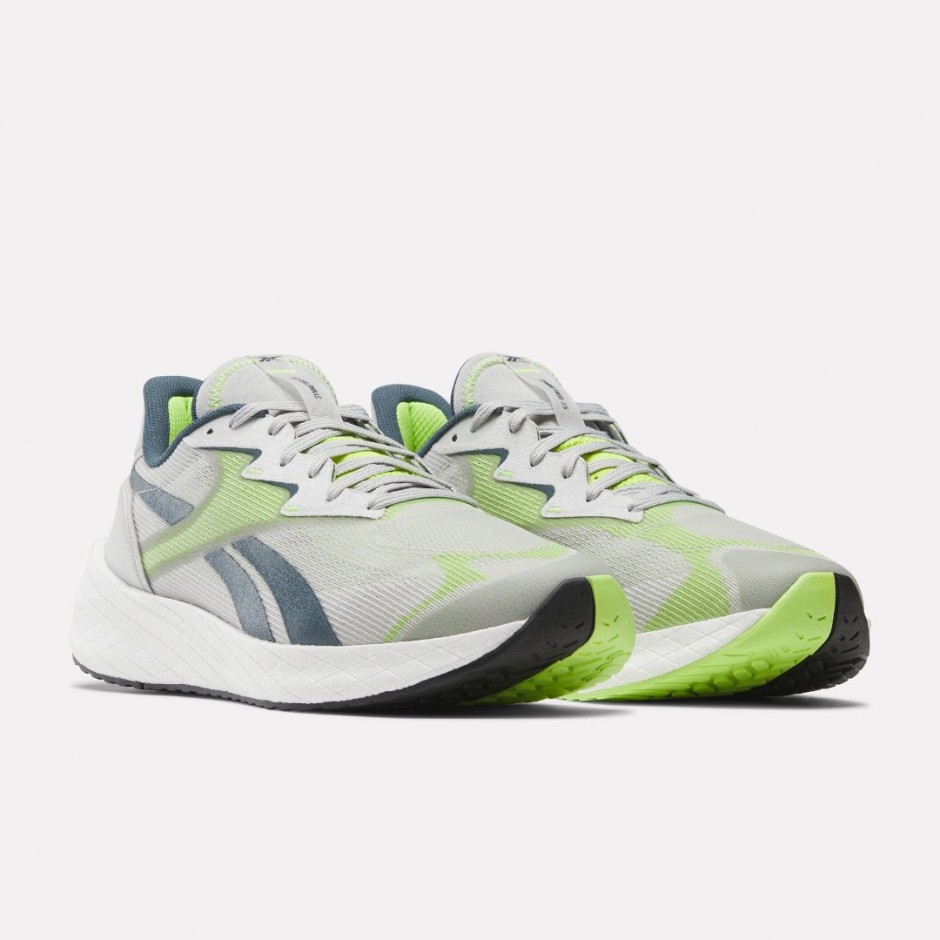 Reebok Sport FLOATRIDE ENERGY SYMMETROS 2.5 100033391 Grey