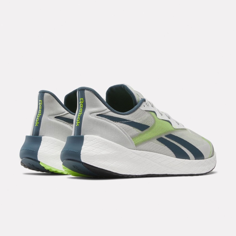 Reebok Sport FLOATRIDE ENERGY SYMMETROS 2.5 100033391 Grey