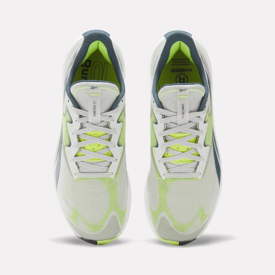 Reebok Sport FLOATRIDE ENERGY SYMMETROS 2.5 100033391 Grey