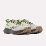 Reebok Sport FLOATRIDE ENERGY 5 100025744 Beige Image 0