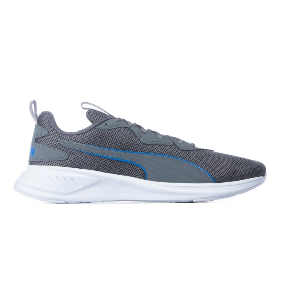 PUMA INCINERATE 376288 Coal