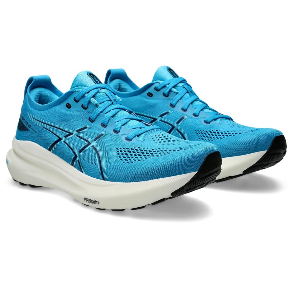 Ανδρικά Παπούτσια για Τρέξιμο Ρουά - ASICS GEL-KAYANO 31 