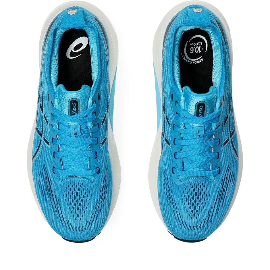 Ανδρικά Παπούτσια για Τρέξιμο Ρουά - ASICS GEL-KAYANO 31 
