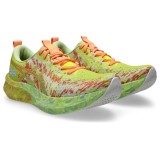 Ανδρικά Παπούτσια για Τρέξιμο Πολύχρωμα - ASICS NOOSA TRI 16 Εικόνα 1