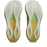 Ανδρικά Παπούτσια για Τρέξιμο Πολύχρωμα - ASICS NOOSA TRI 16 Εικόνα 5