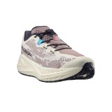 Ανδρικά Παπούτσια για Τρέξιμο Γκρι - Salomon Aero Glide 4 GRVL Εικόνα 1