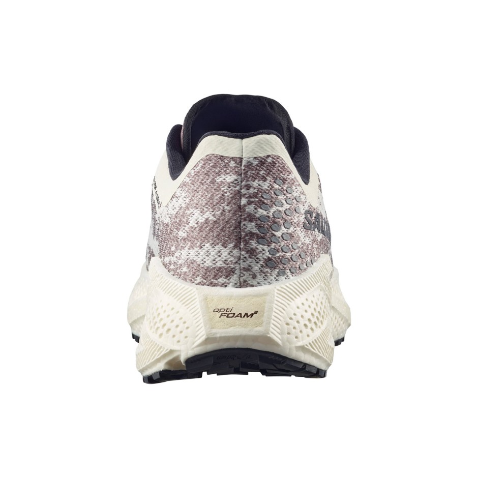 Ανδρικά Παπούτσια για Τρέξιμο Γκρι - Salomon Aero Glide 4 GRVL