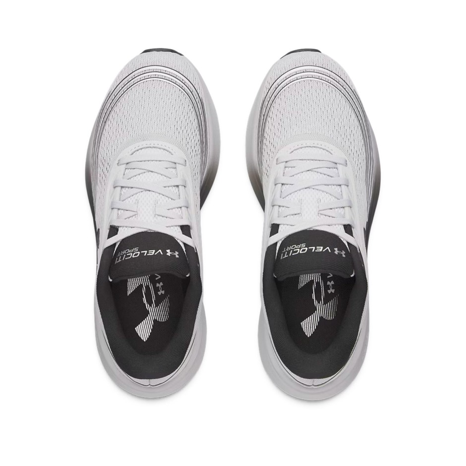 Men's Running Shoes Grey - Under Armour Velociti Sport 