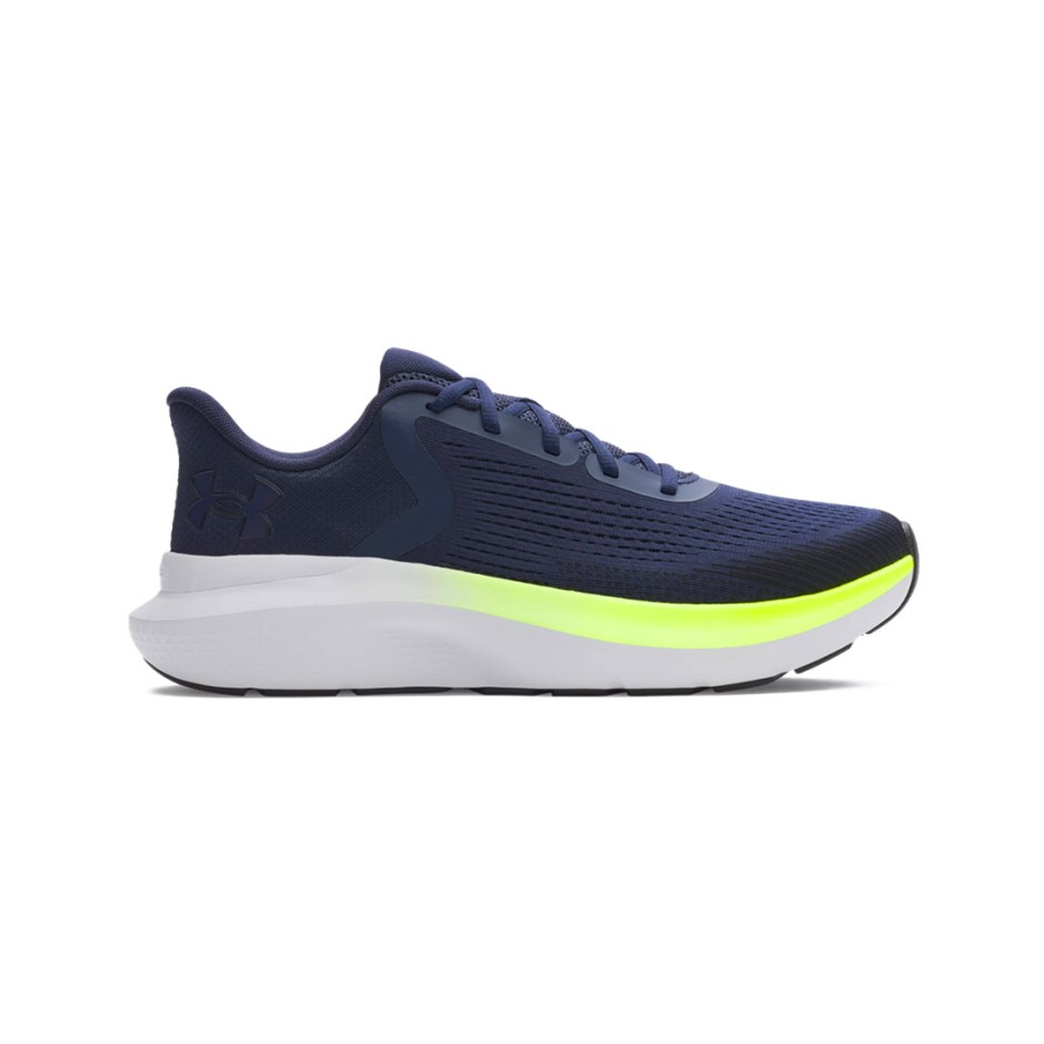 UNDER ARMOUR UA CHARGED ROGUE 5 3028256 Blue