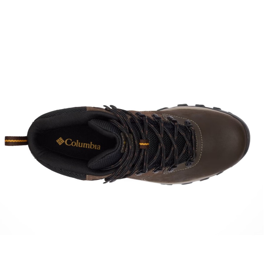Men's Hiking Shoes Brown - Columbia Newton Ridge Plus II Waterproof
