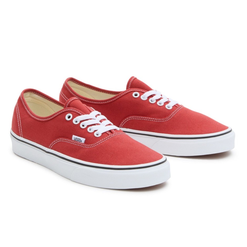VANS AUTHENTIC COLOR THEORY VN0009PV49X 49X Brown