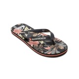 QUIKSILVER MOLOKAI ART AQYL101264-KVJ1 Colorful