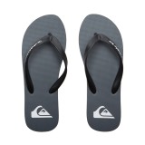 QUIKSILVER MOLOKAI CORE AQYL101325-SYJ1 Grey Image 2